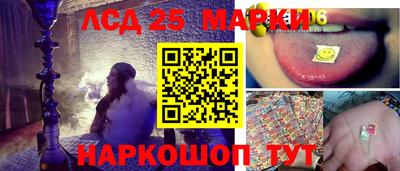 индика Нальчик