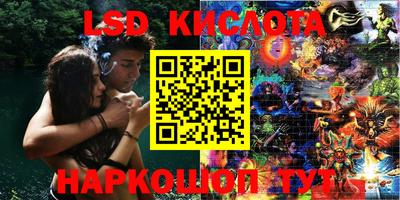 spice Новодвинск