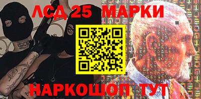 spice Новодвинск