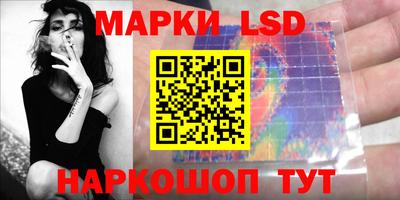 индика Нальчик