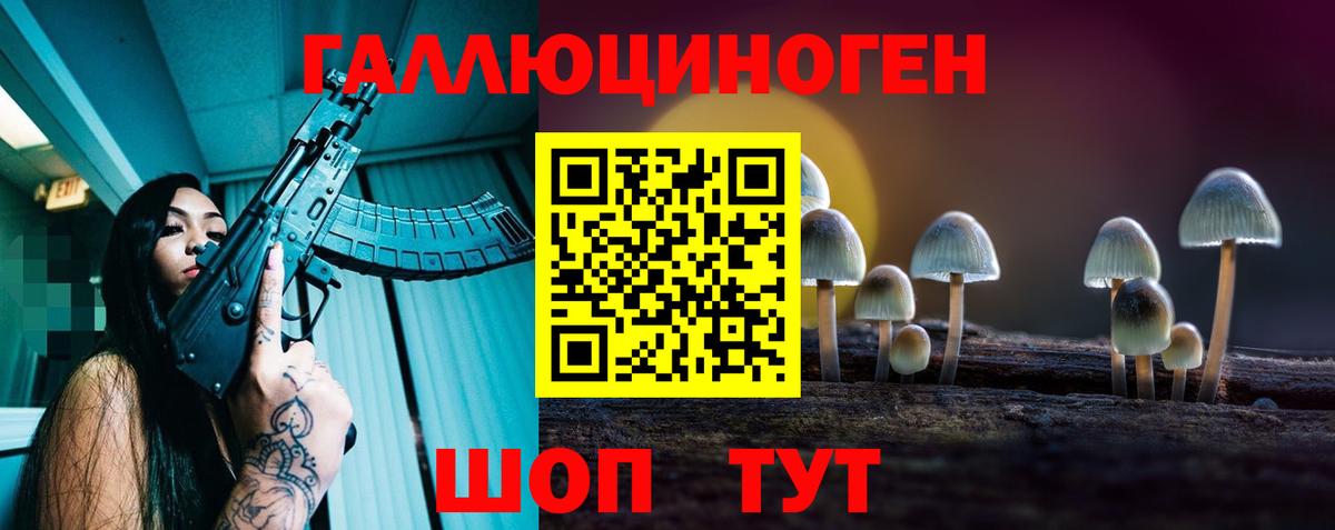 Псилоцибиновые грибы прущие грибы Советская Гавань
